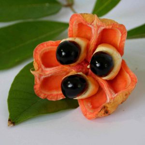 What Is The Weirdest Looking Fruit? 1