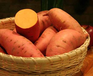 sweet potato diet in india